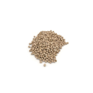 Garbanzo 500grs - kIBOU