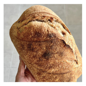 PAN CAMPO SEMI - MASA MADRE